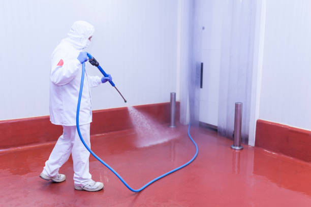 Best Driveway Pressure Washing  in Hughesville, MD